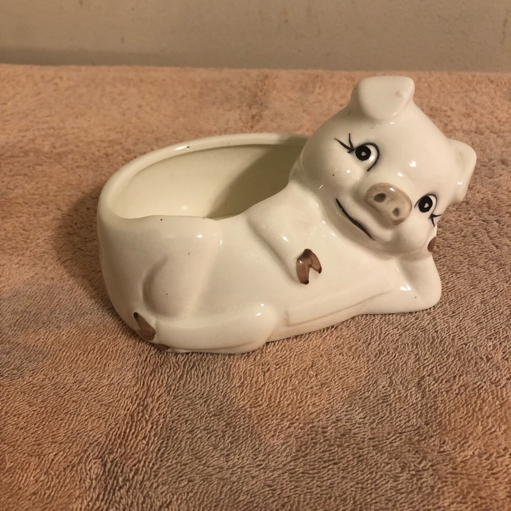 Cute Little Pig Planter 6”x4”x2 1/2”